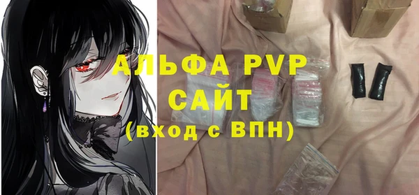 молекула духа Ростов