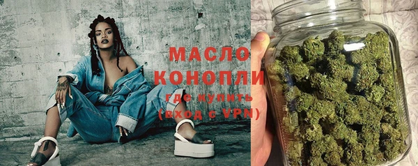 молекула духа Ростов