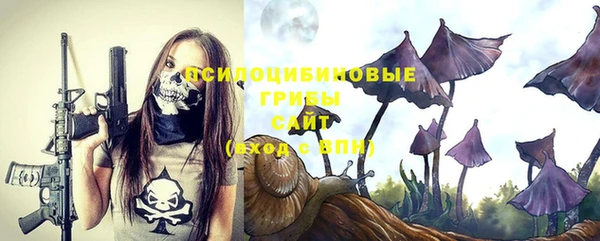 прущая мука Рославль