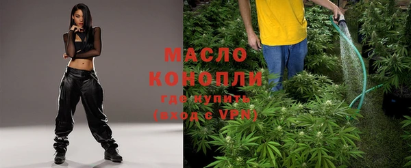 молекула духа Ростов